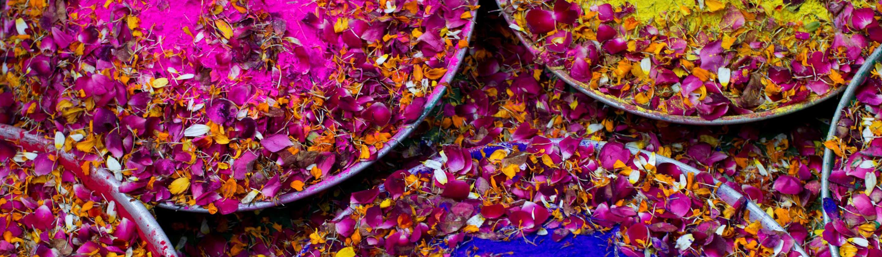 The Origins of Colour- A fascinating history