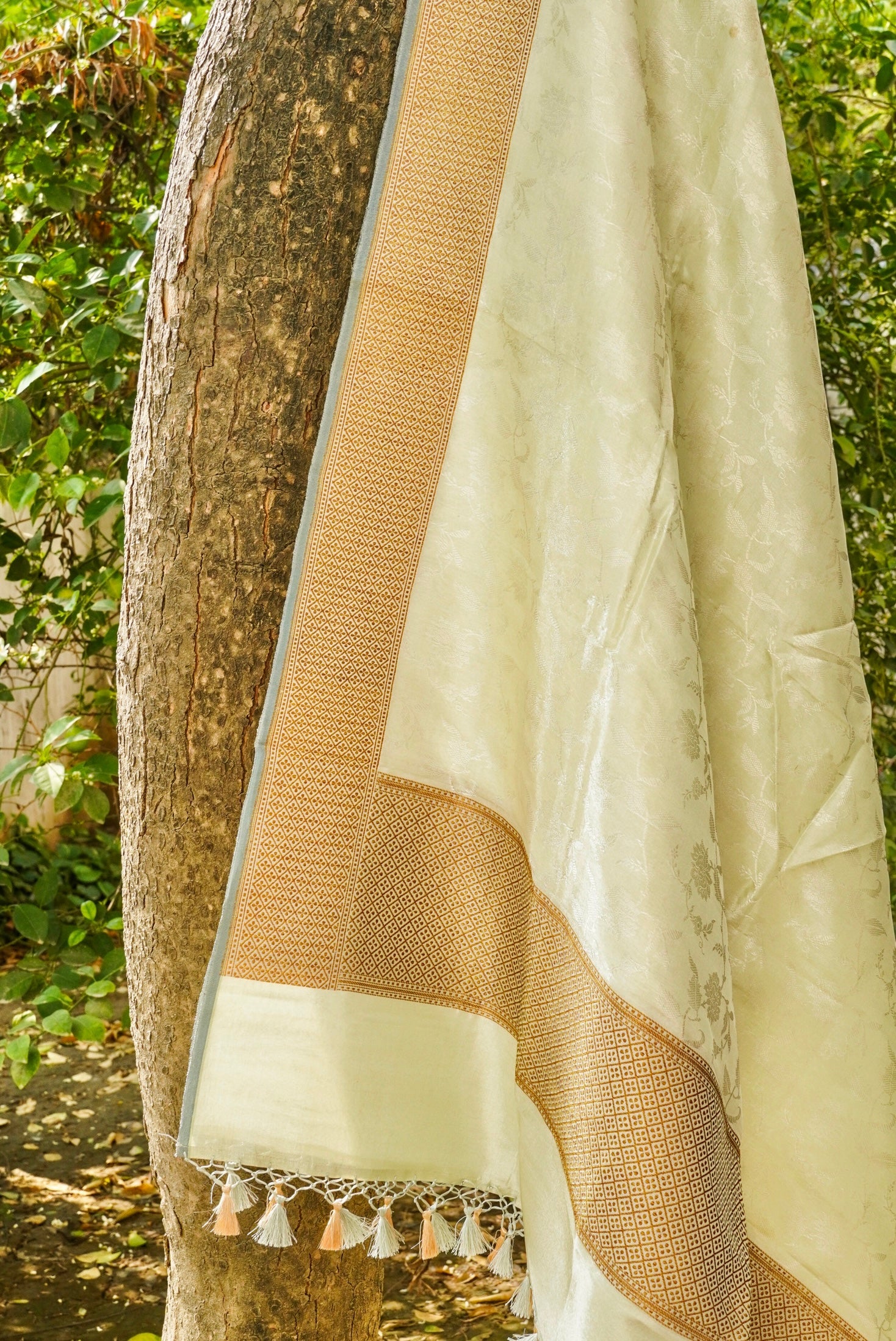 Handloom Banarasi Tissue Silk Dupatta