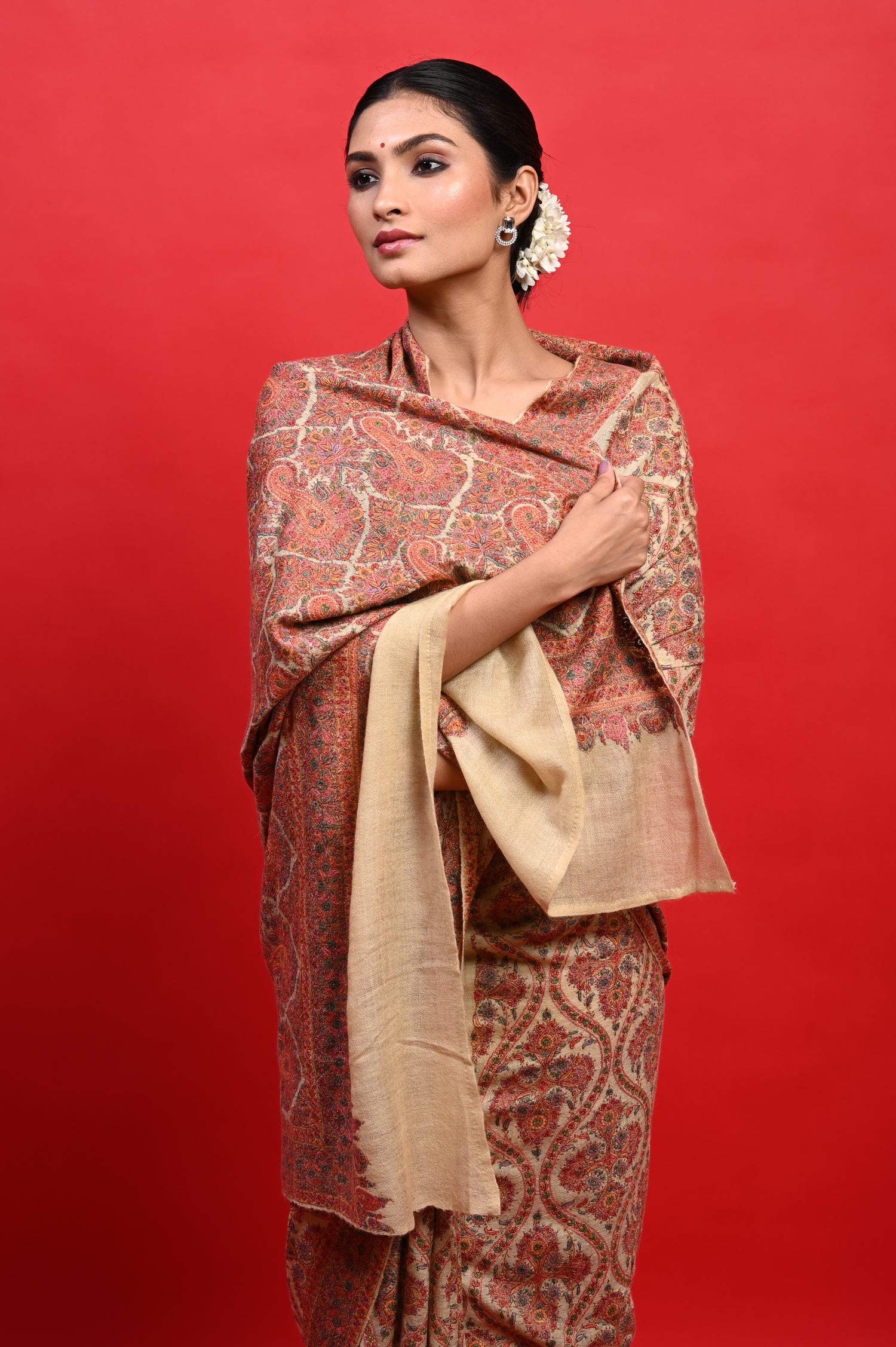 Pure Pashmina Sozni Embriodery Heirloom Kashmiri Saree