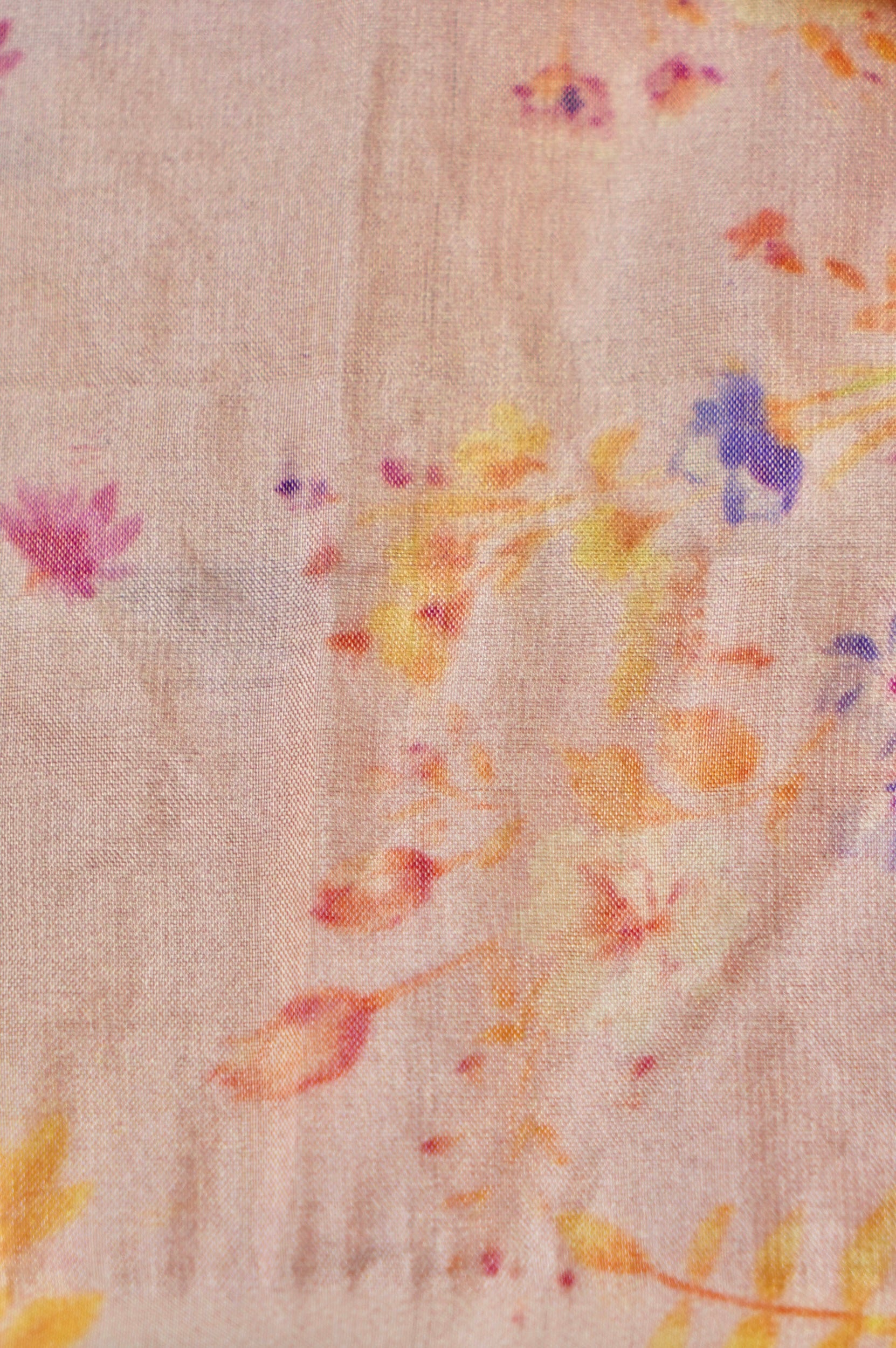 Tissue Silk Print Saree