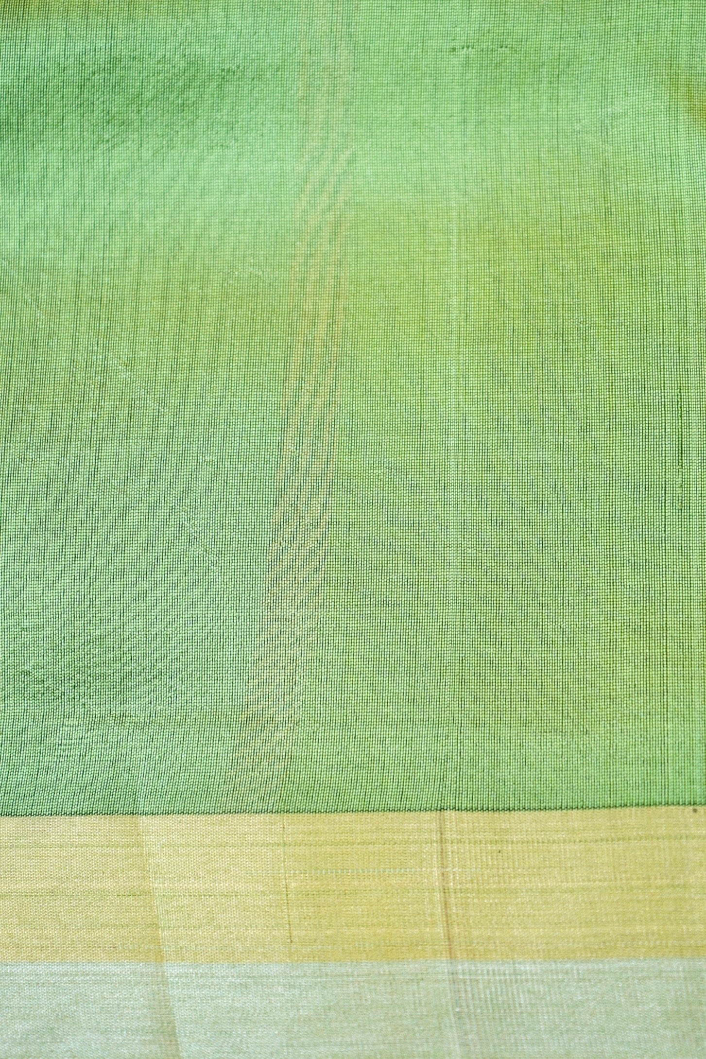 Handwoven Chanderi Eknaliya Boota Green Saree