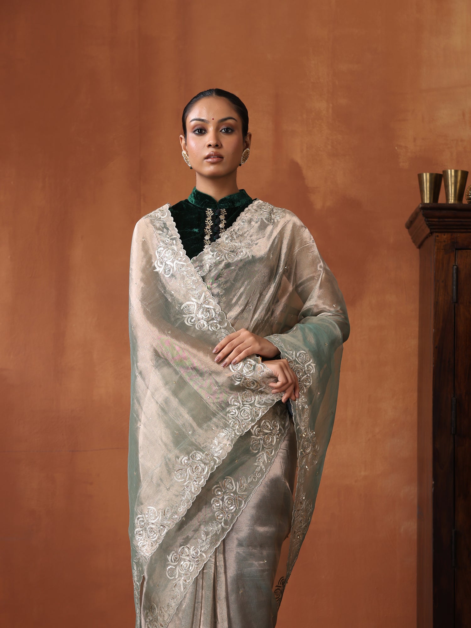 Tissue Silk Handwoven Banarasi Saree with Embriodery