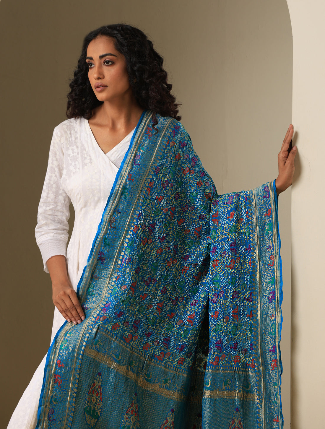 Banarasi Bandhani Georgette Shikargah Dupatta