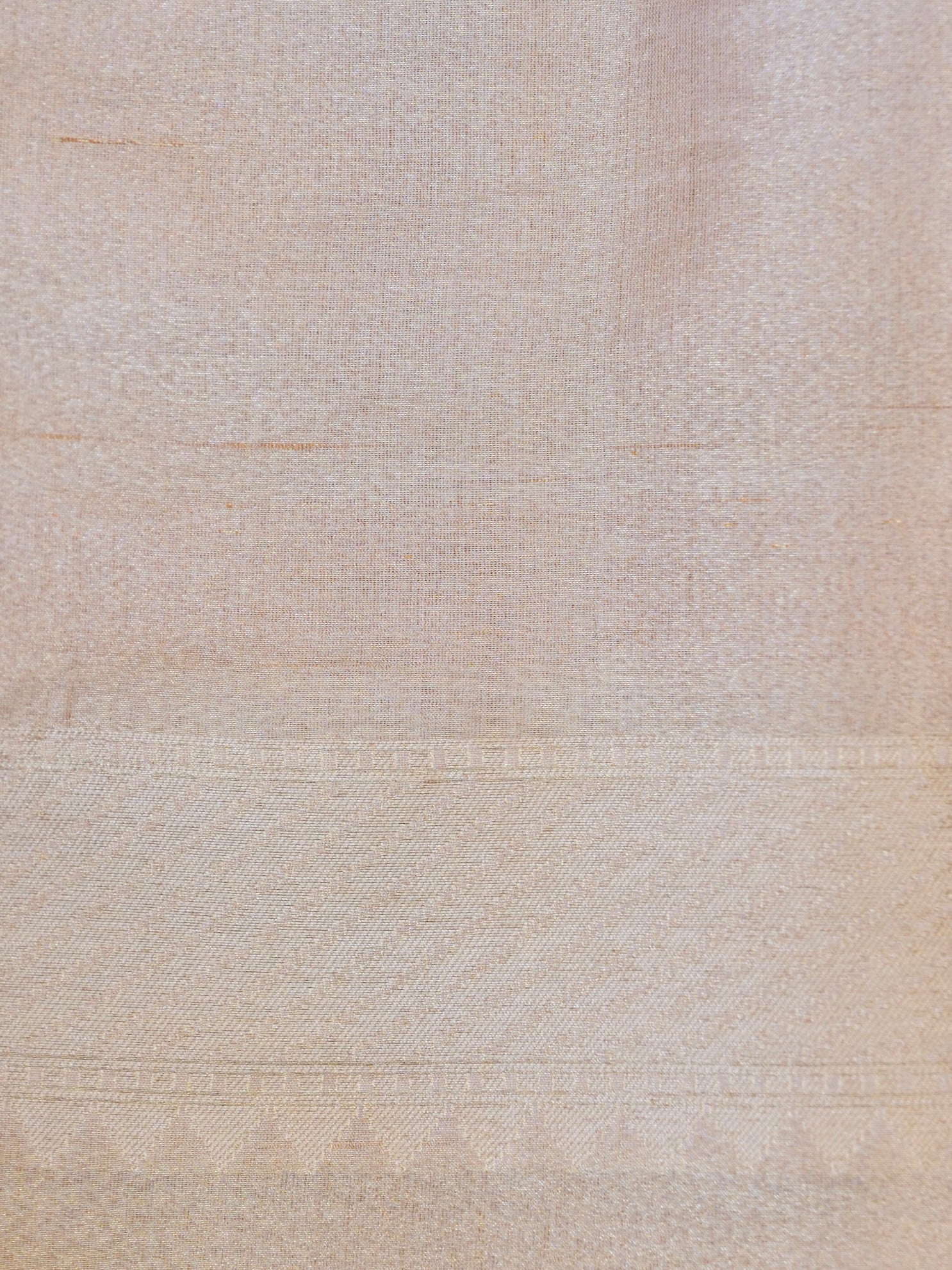 Handloom Banarasi Pure Tissue by Silk Jaal Saree