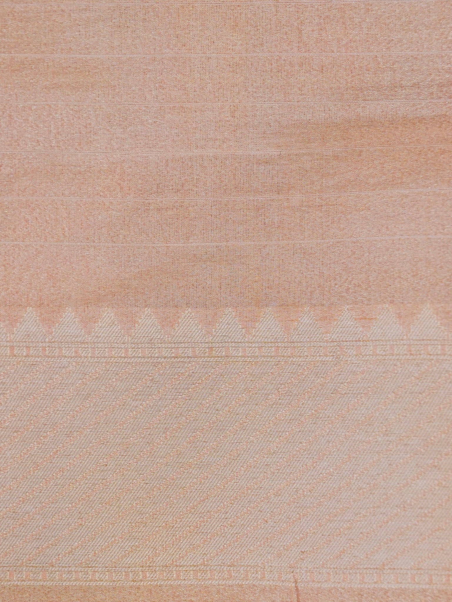 Handloom Banarasi Pure Tissue by Silk Jaal Saree
