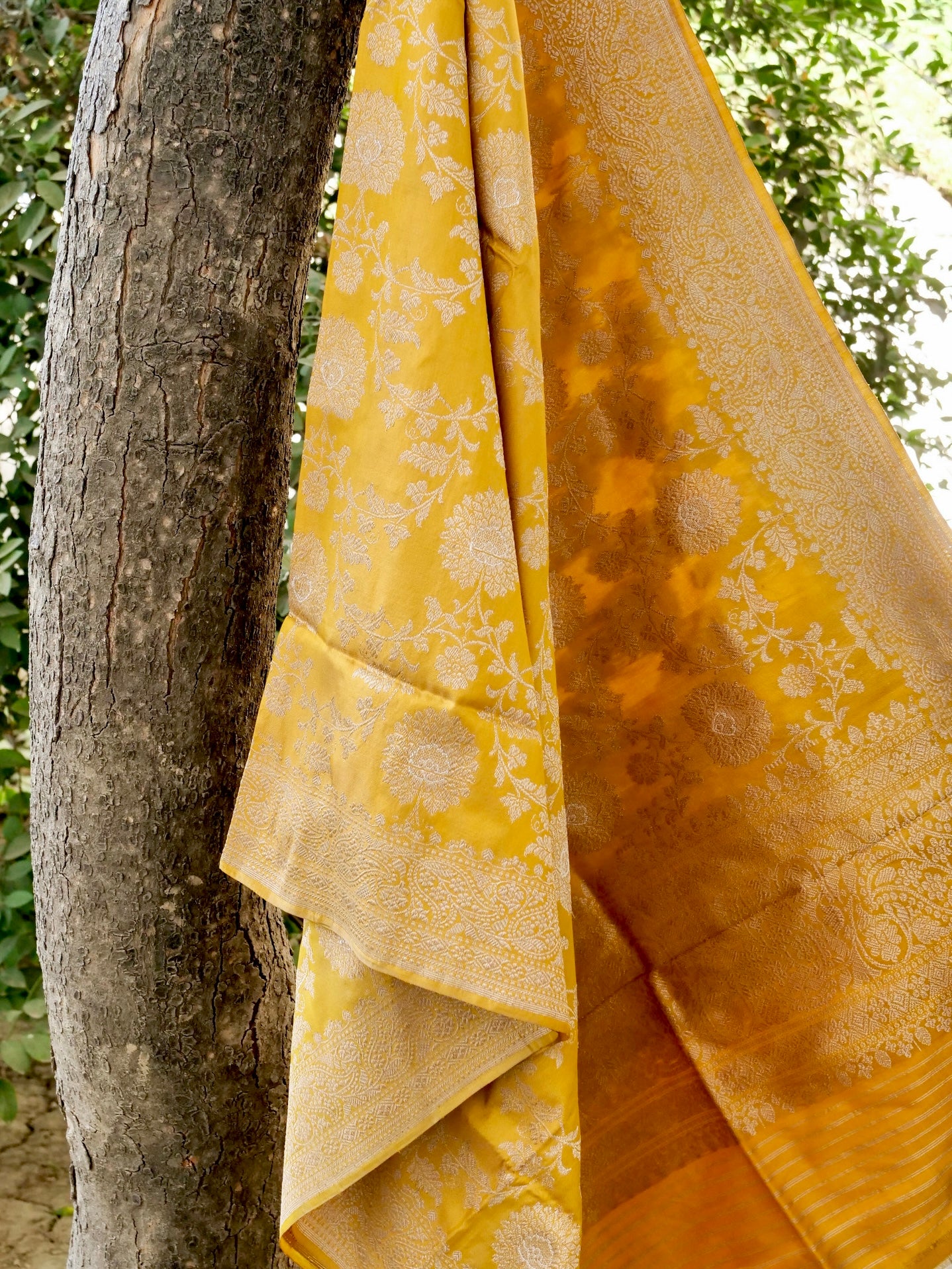 Handwoven Banarasi Katan Silk Kadwa Dupatta