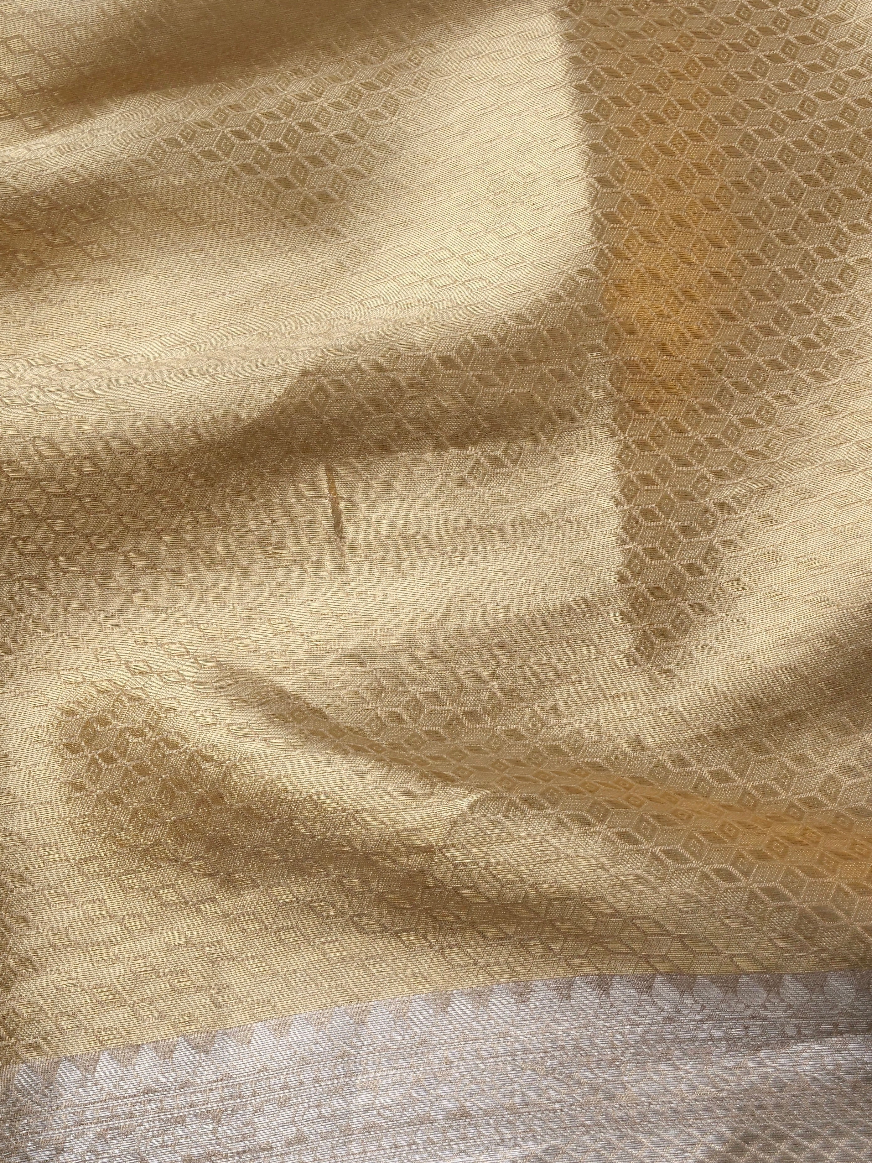 Handloom Banarasi Pure Tissue by Silk Saree