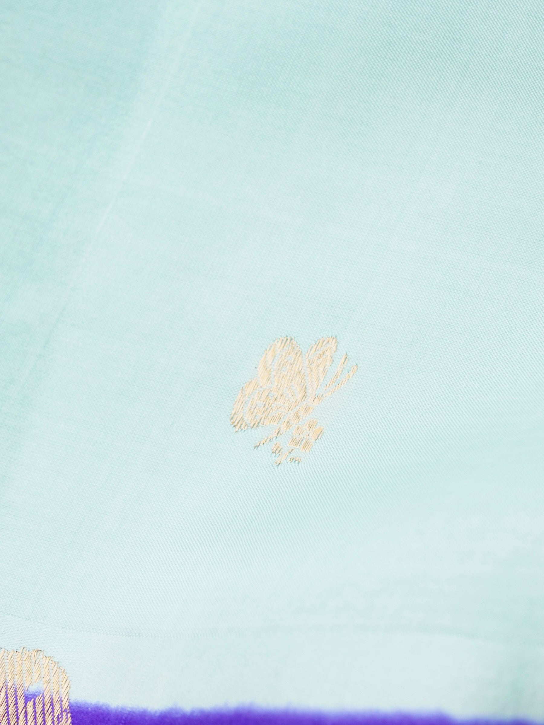 Handloom Banarasi Pure Katan Silk Kadwa Saree in Mint with Bird - Khinkhwab