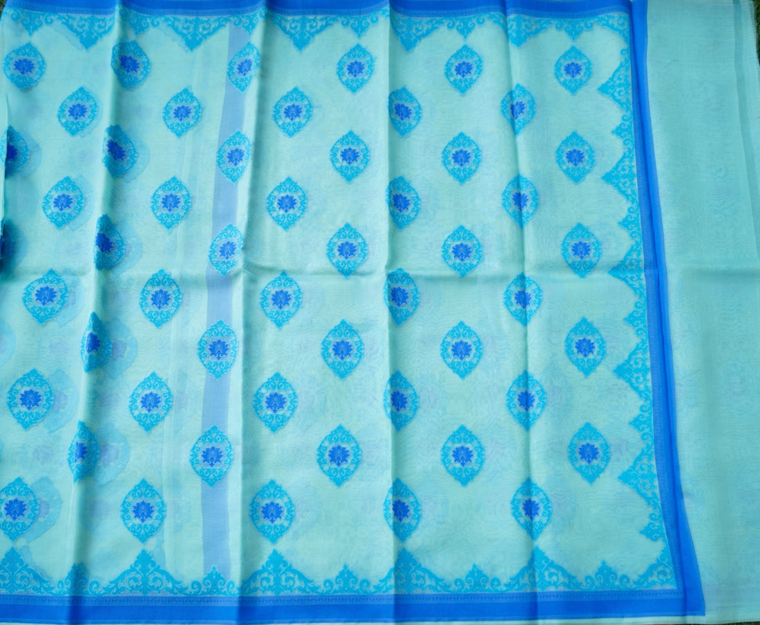 Handwoven Banarasi Organza Silk Kadwa Saree in Ice Blue- Soglia