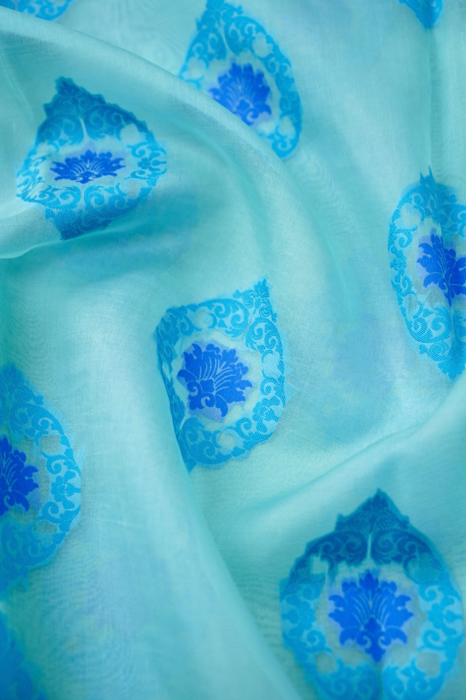 Handwoven Banarasi Organza Silk Kadwa Saree in Ice Blue- Soglia