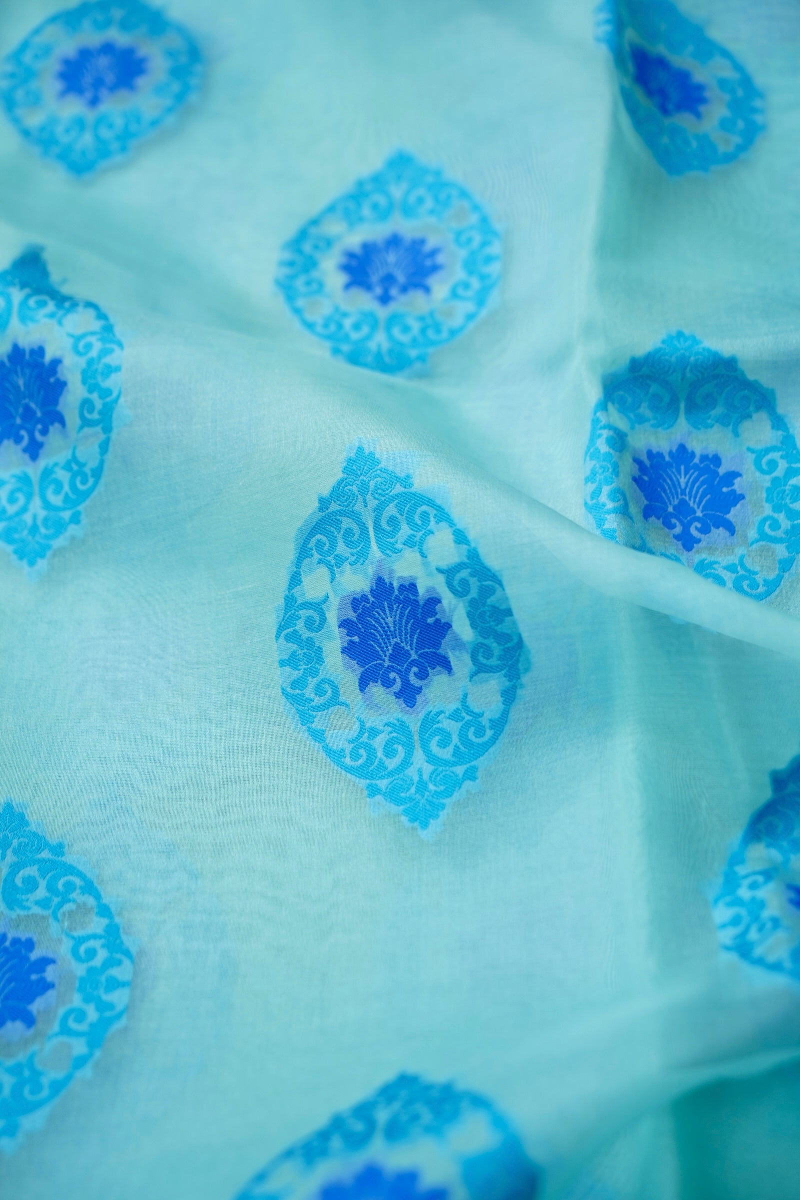 Handwoven Banarasi Organza Silk Kadwa Saree in Ice Blue- Soglia