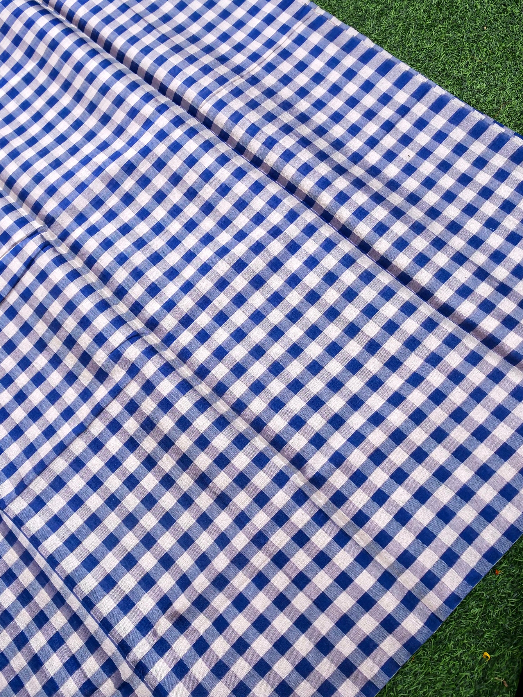 Chanderi Tissue Silk Handwoven Saree - Khinkhwab