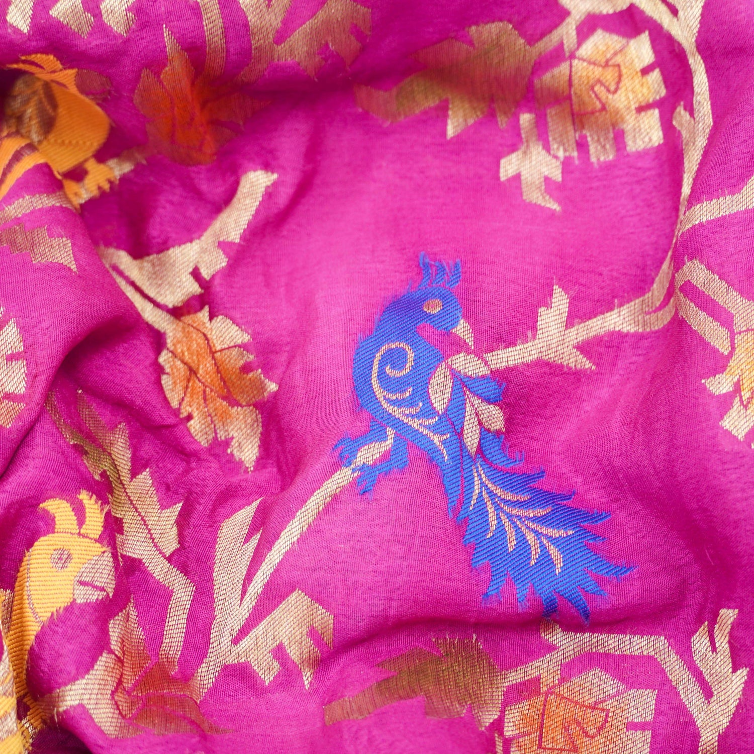 Georgette Birds of Paradise Tri Color Banarasi Saree