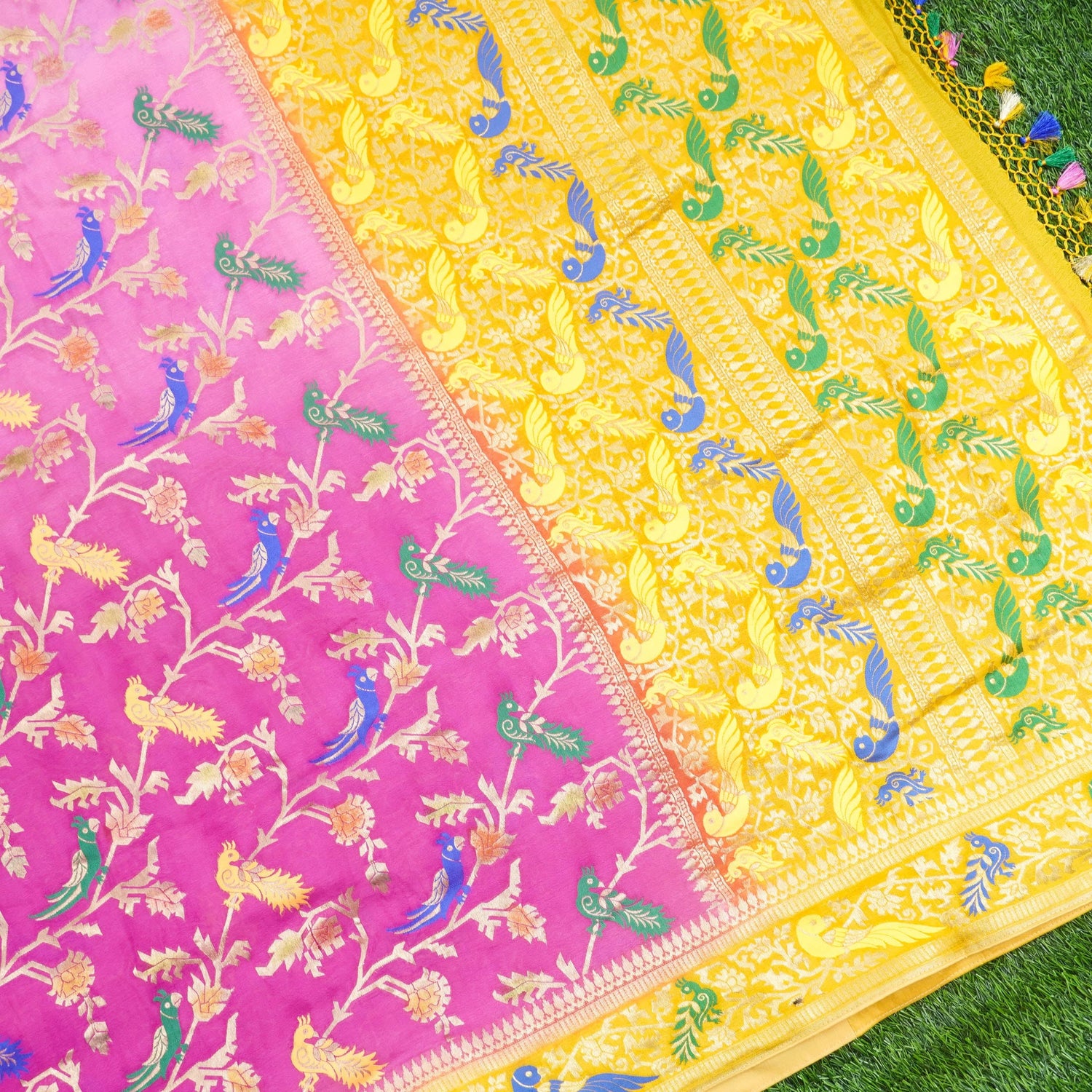 Georgette Birds of Paradise Tri Color Banarasi Saree