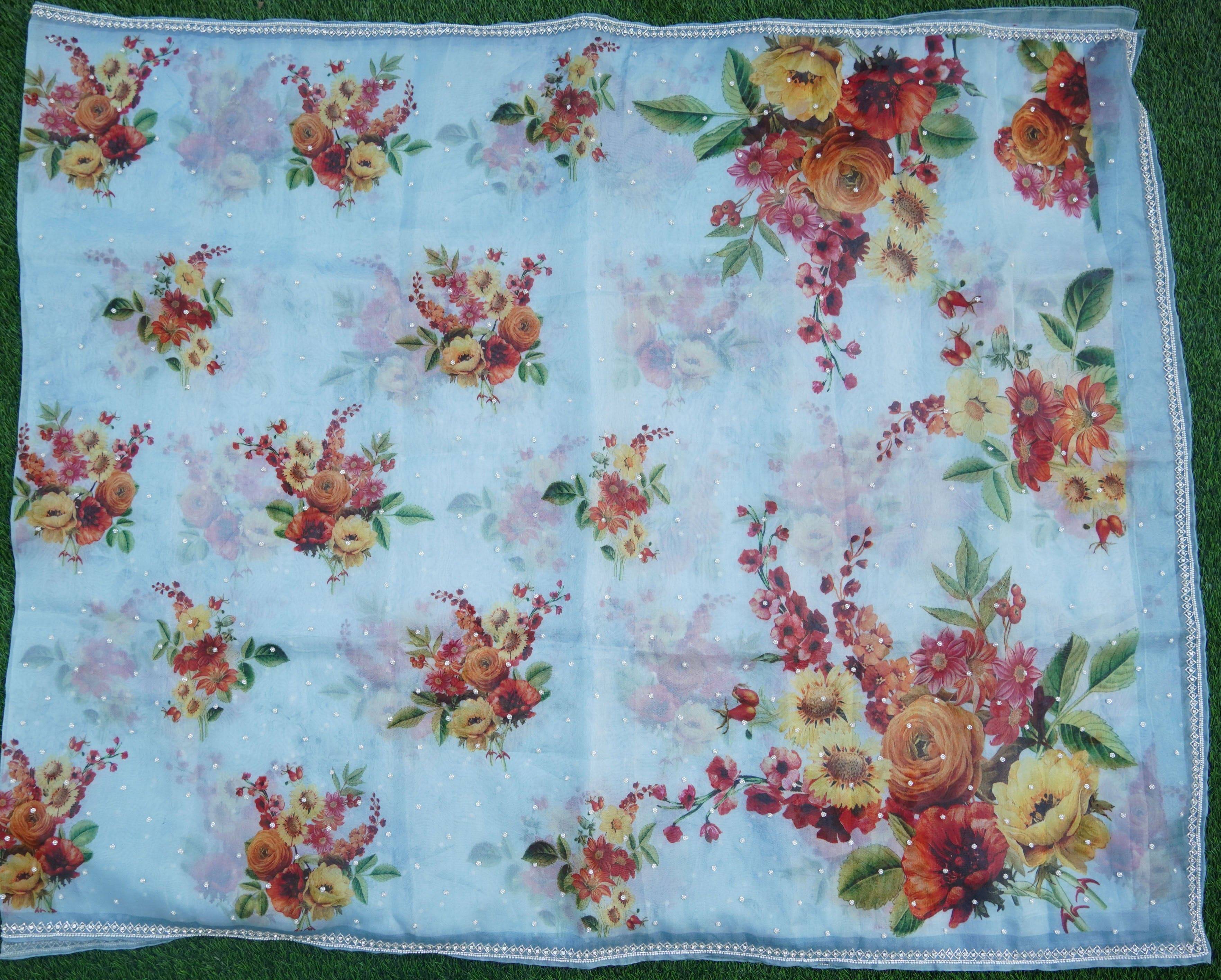 Organza Print Saree with Hand Embroidery