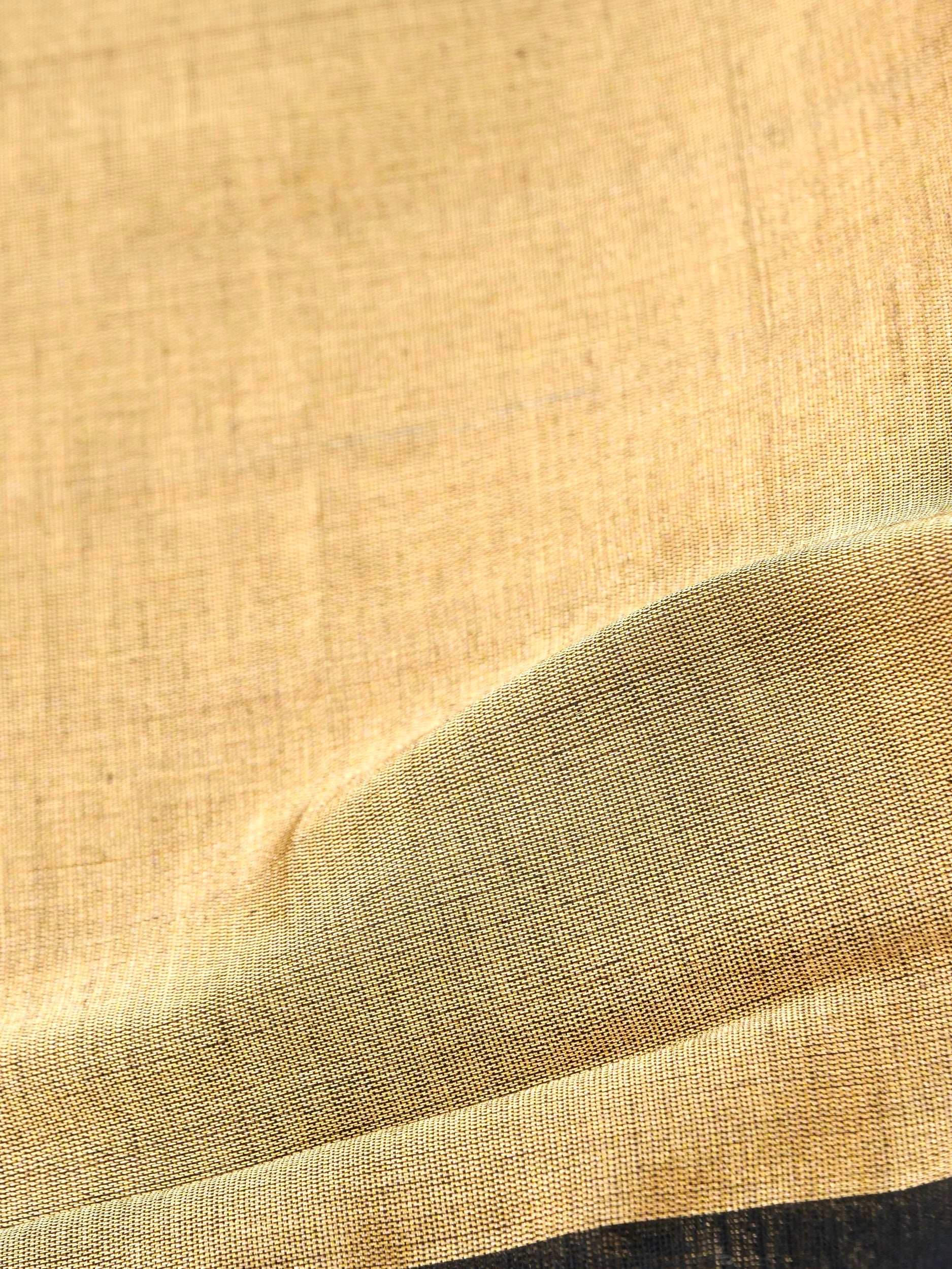Chanderi Tissue Silk Handwoven Saree