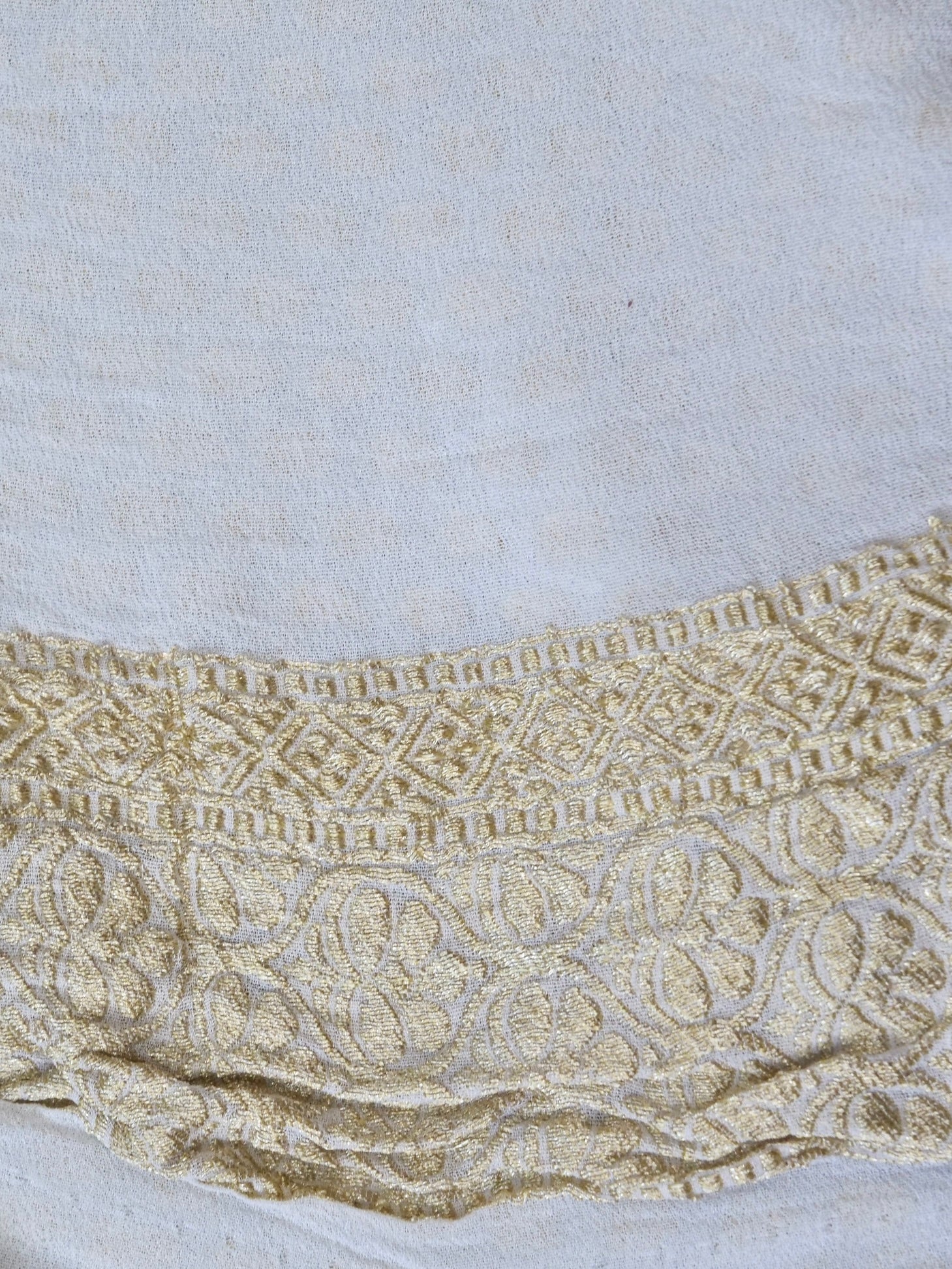 Handwoven Banarasi Georgette Saree