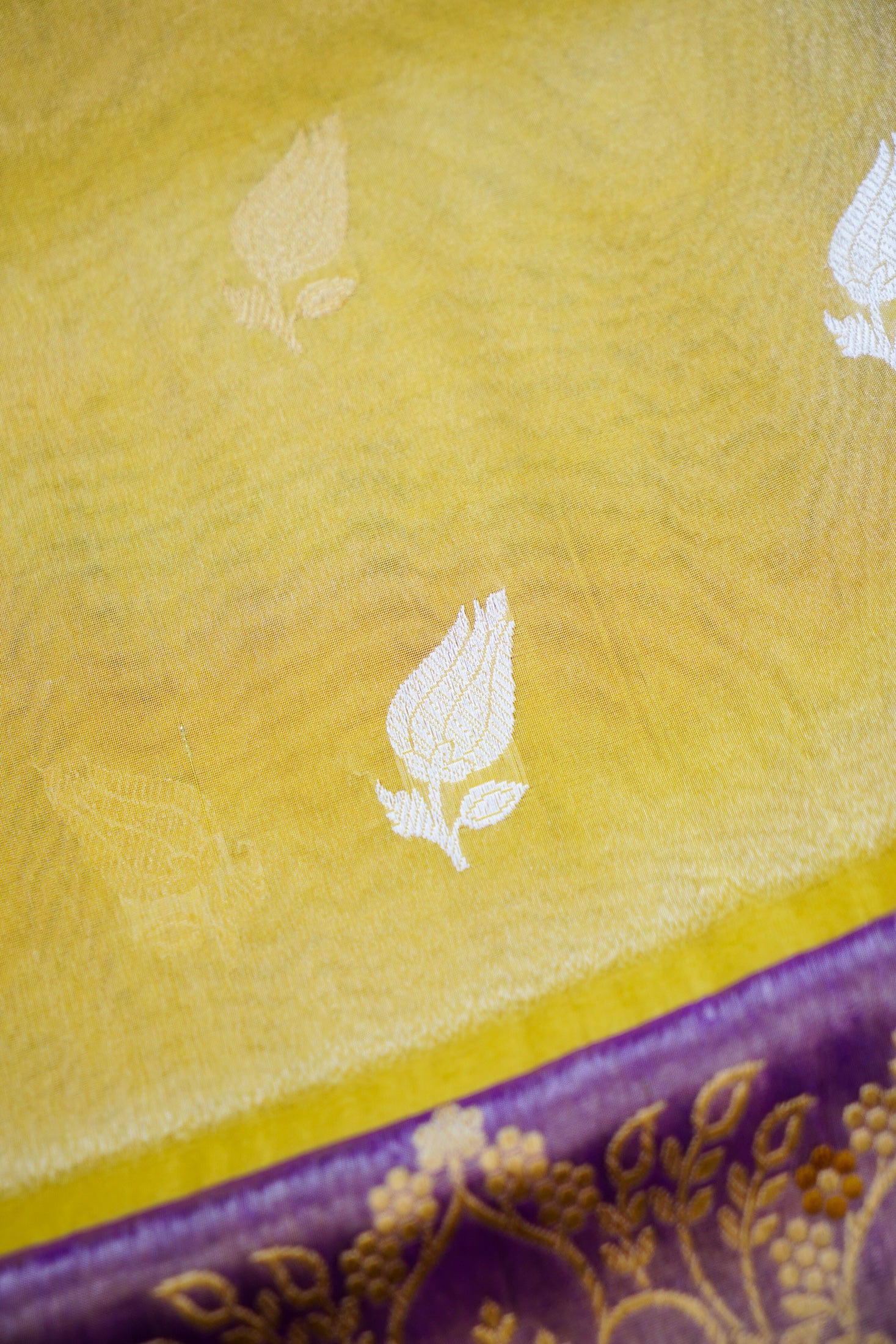Handloom Banarasi Pure Silk Tissue Kadwa Saree