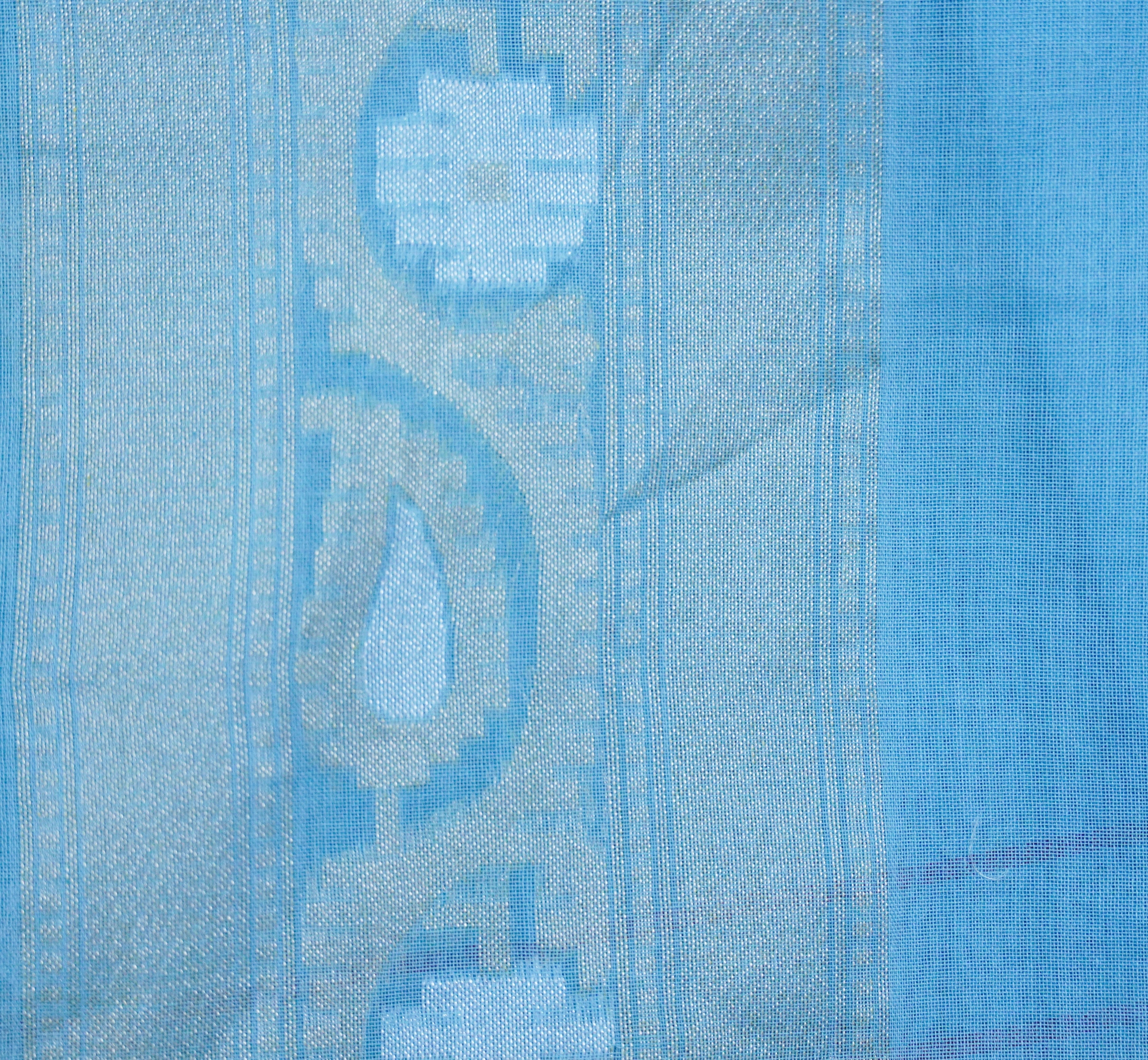 Banarasi Cotton Handloom Jamdani Ektara Saree