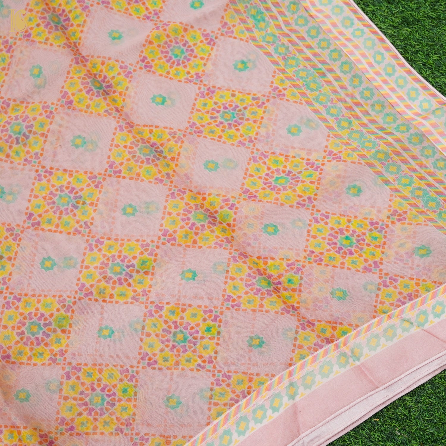 NILUFER - Oyster Pink Pure Organza Print Saree - Khinkhwab