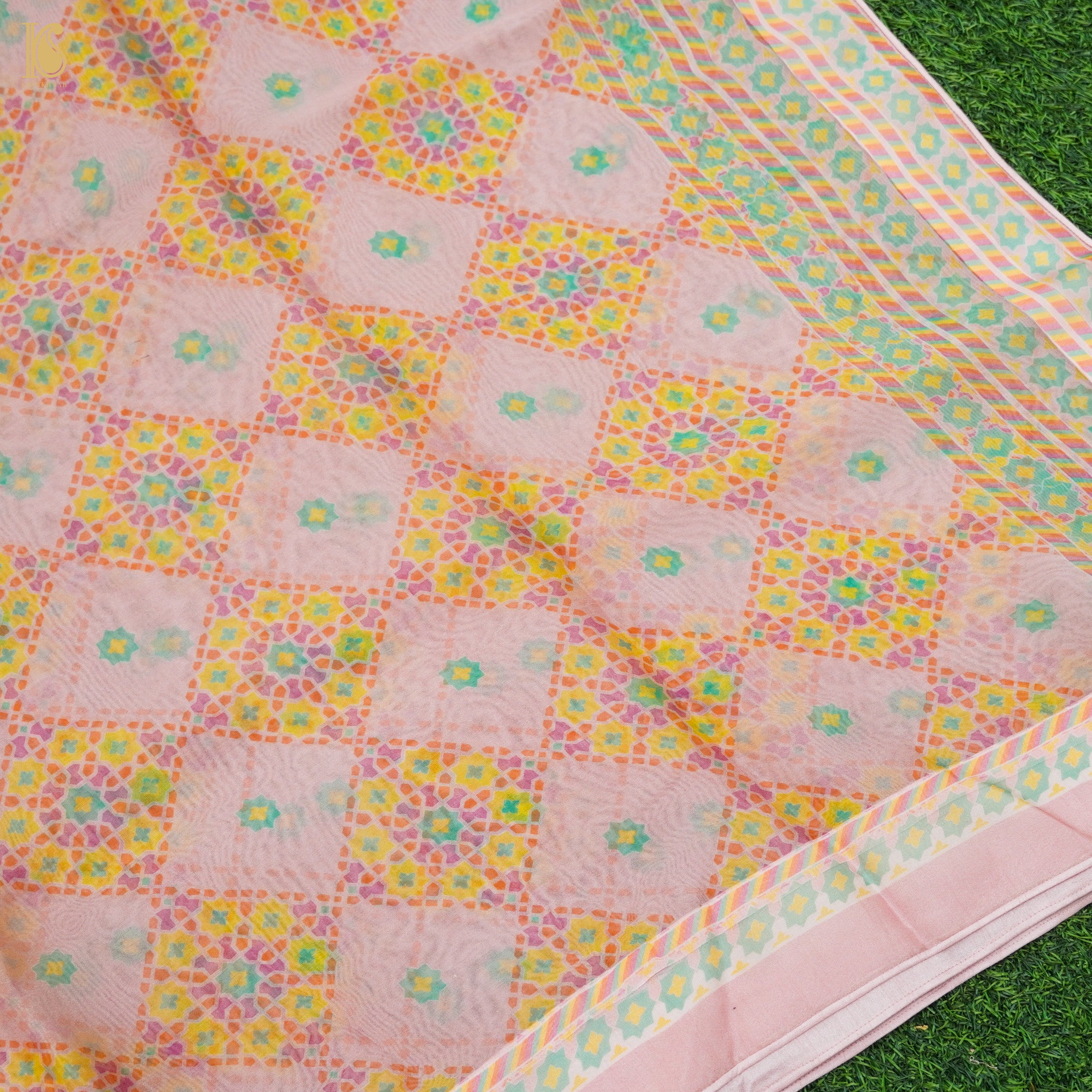 NILUFER - Oyster Pink Pure Organza Print Saree - Khinkhwab
