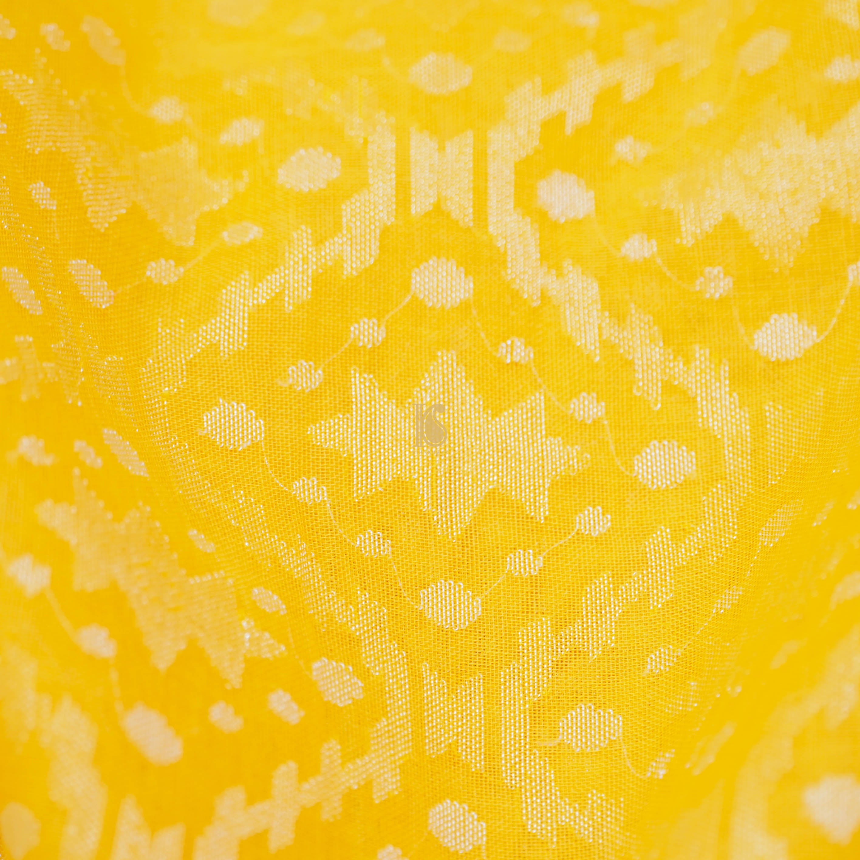 Pure Cotton Real Silver Zari Pitambari Handloom Banarasi Saree - Khinkhwab