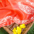 Handwoven Cinnabar Red Pure Organza Embroidery Saree - Khinkhwab