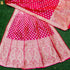 Ruby Pink Katan Silk Handloom Banarasi Kalidar Lehenga Set - Khinkhwab