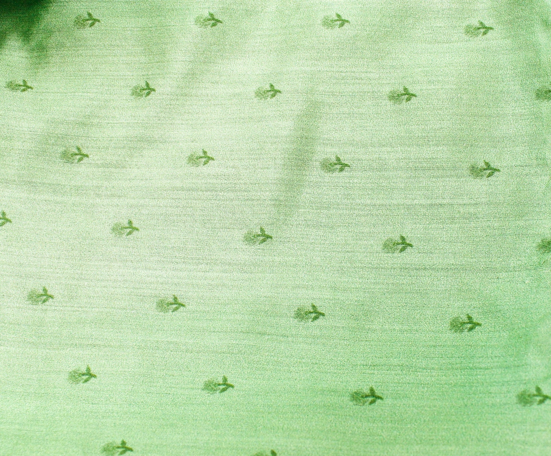 Pale Prim Floral Pure Organza Print Saree - Khinkhwab