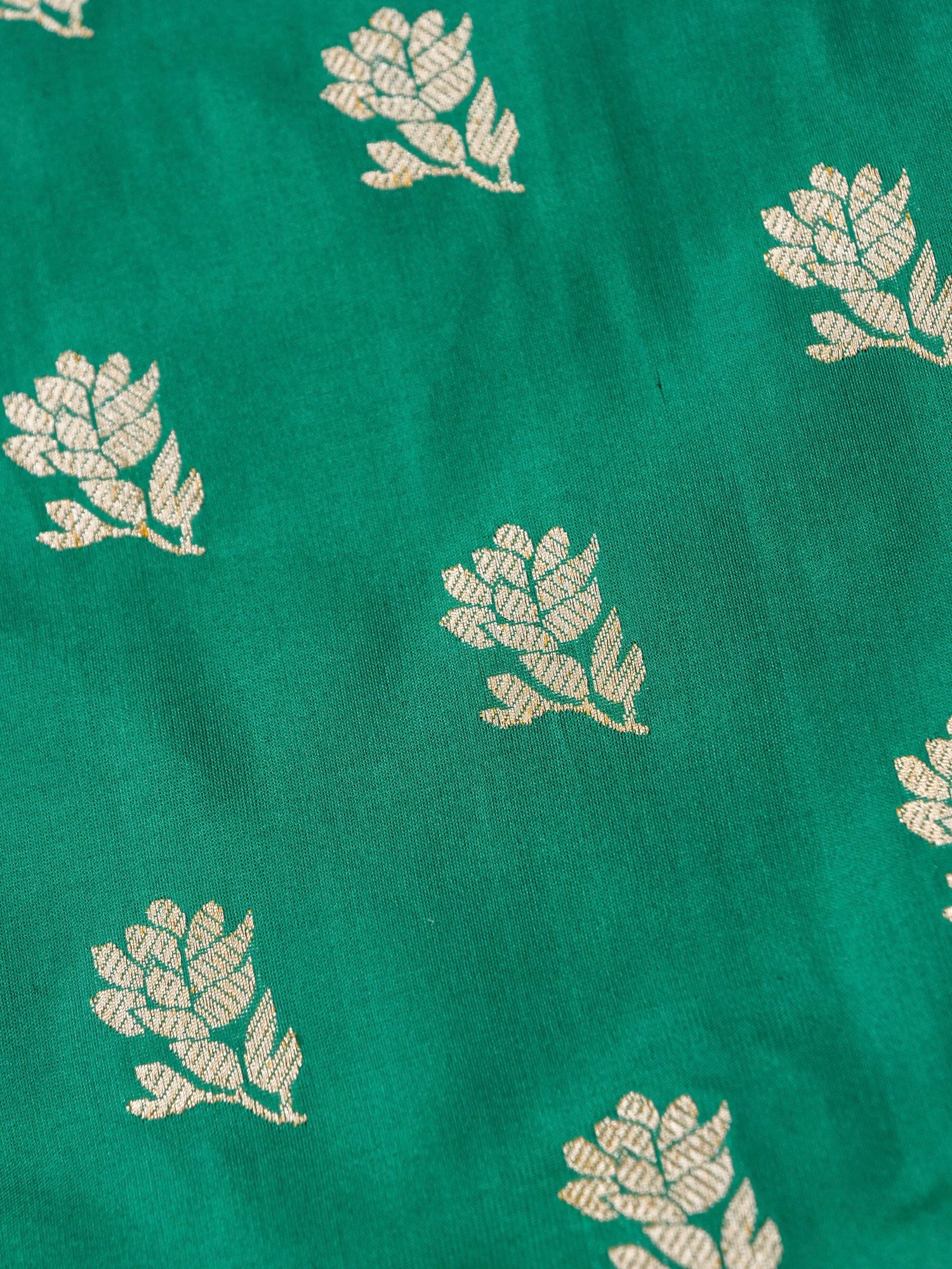 Handloom Banarasi Katan Silk Kadwa Saree in Rama Green