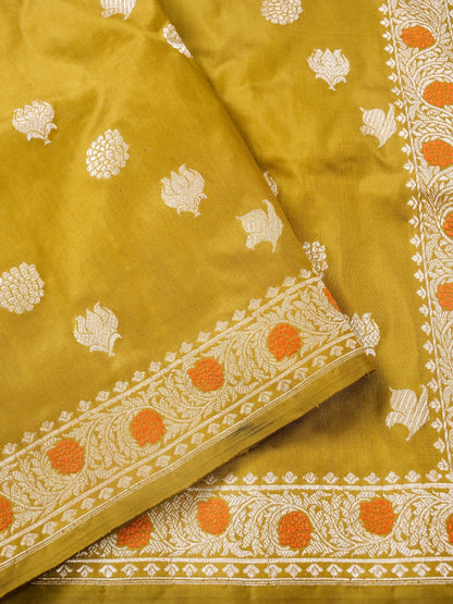 Handloom Banarasi Katan Kadwa Saree in Mustard Yellow