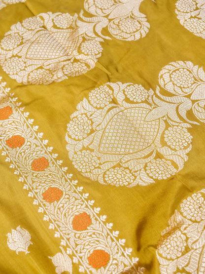 Handloom Banarasi Katan Kadwa Saree in Mustard Yellow