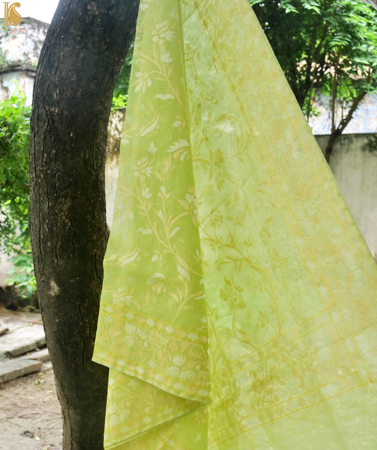 Handwoven Pure Cotton Dupatta in Pistachio Green