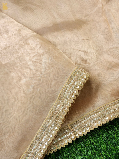 Hand Embroidered Pure Tissue Silk Saree with Border in Gold