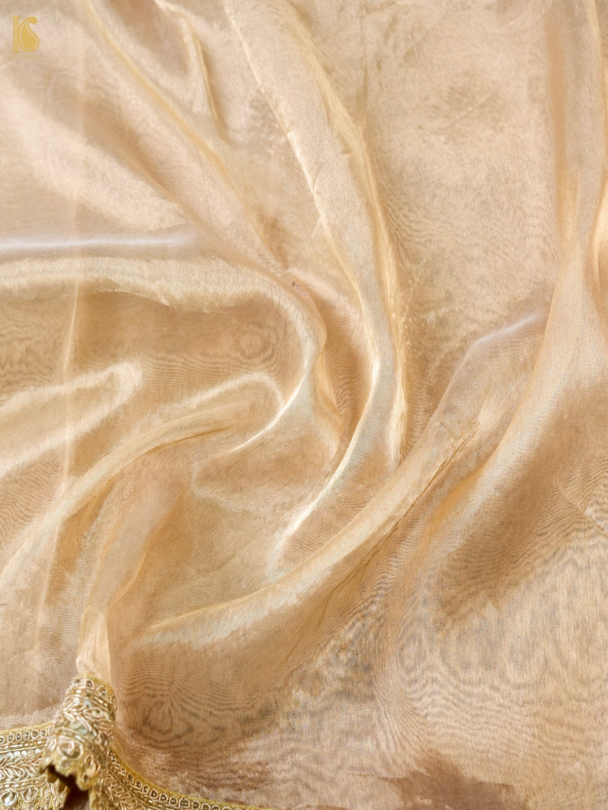 Hand Embroidered Pure Tissue Silk Saree with Border in Gold