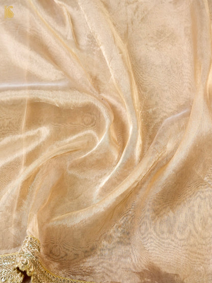 Hand Embroidered Pure Tissue Silk Saree with Border in Gold