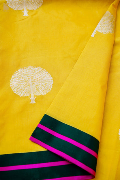 Handwoven Pure Mashru Silk Kadwa Banarasi Saree