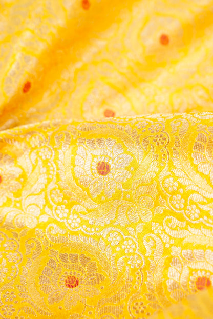 Handloom Pure Brocade Banarasi Fabric