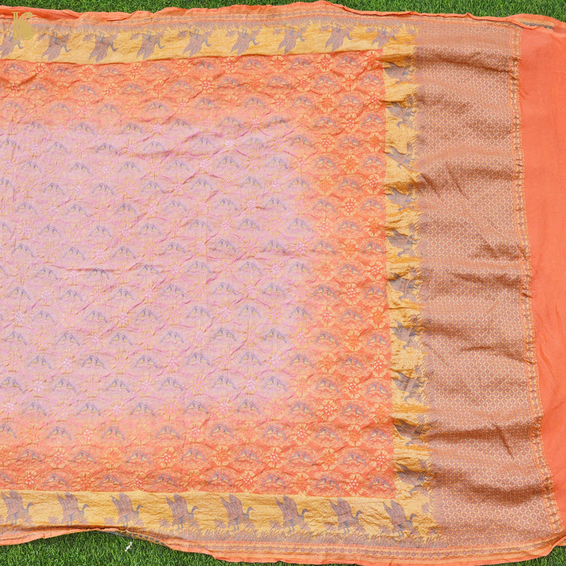 Birds of Paradise - Pure Georgette Handloom Banarasi Bandhani Saree