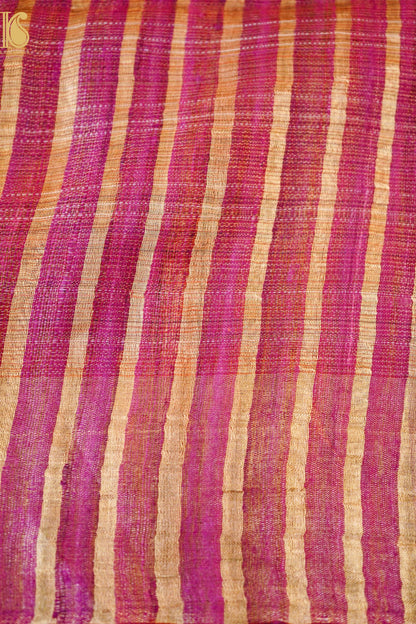 Handloom Tussar by Tissue Saree