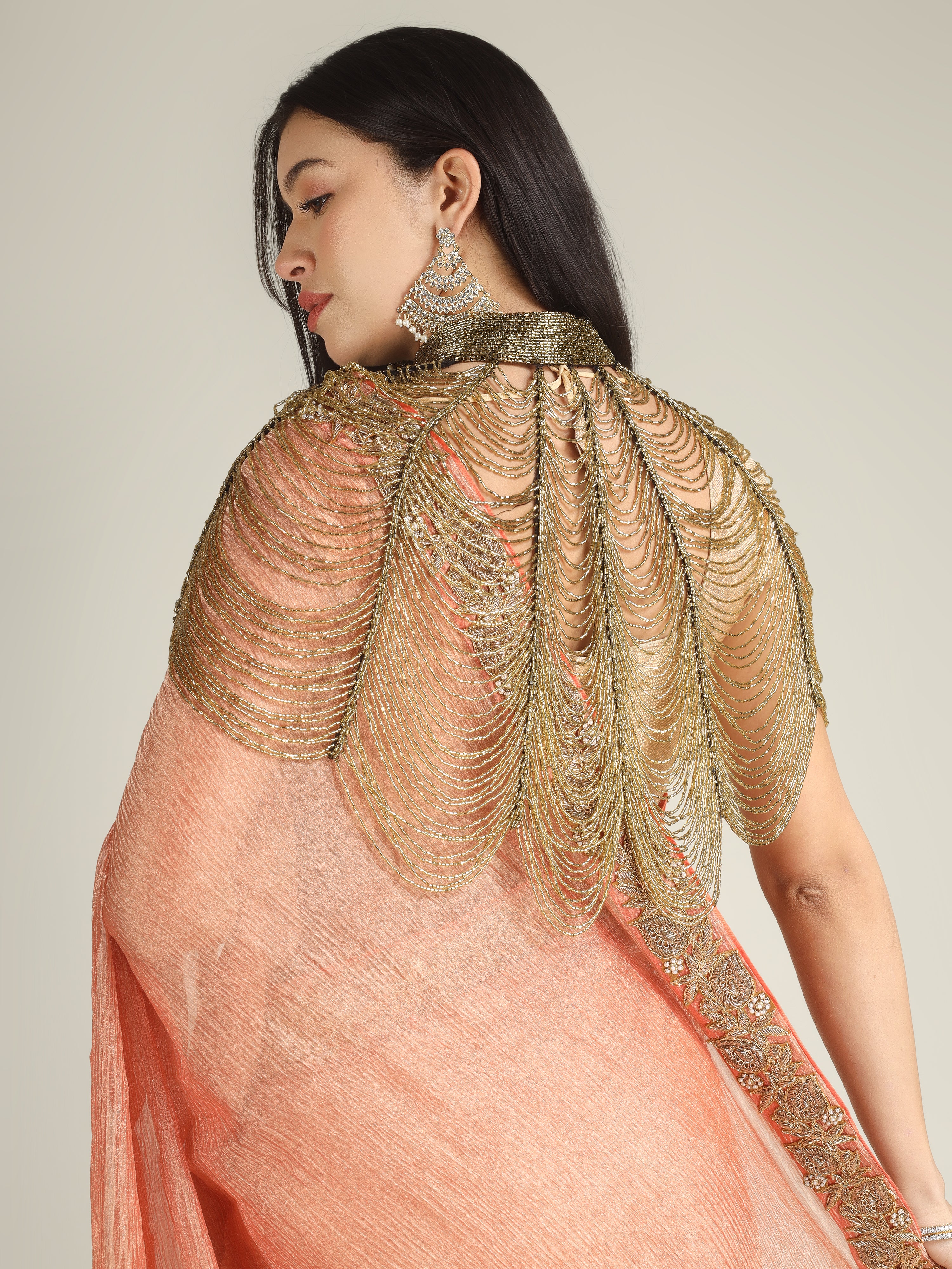 Banarasi Crush Tissue Silk Saree with Border