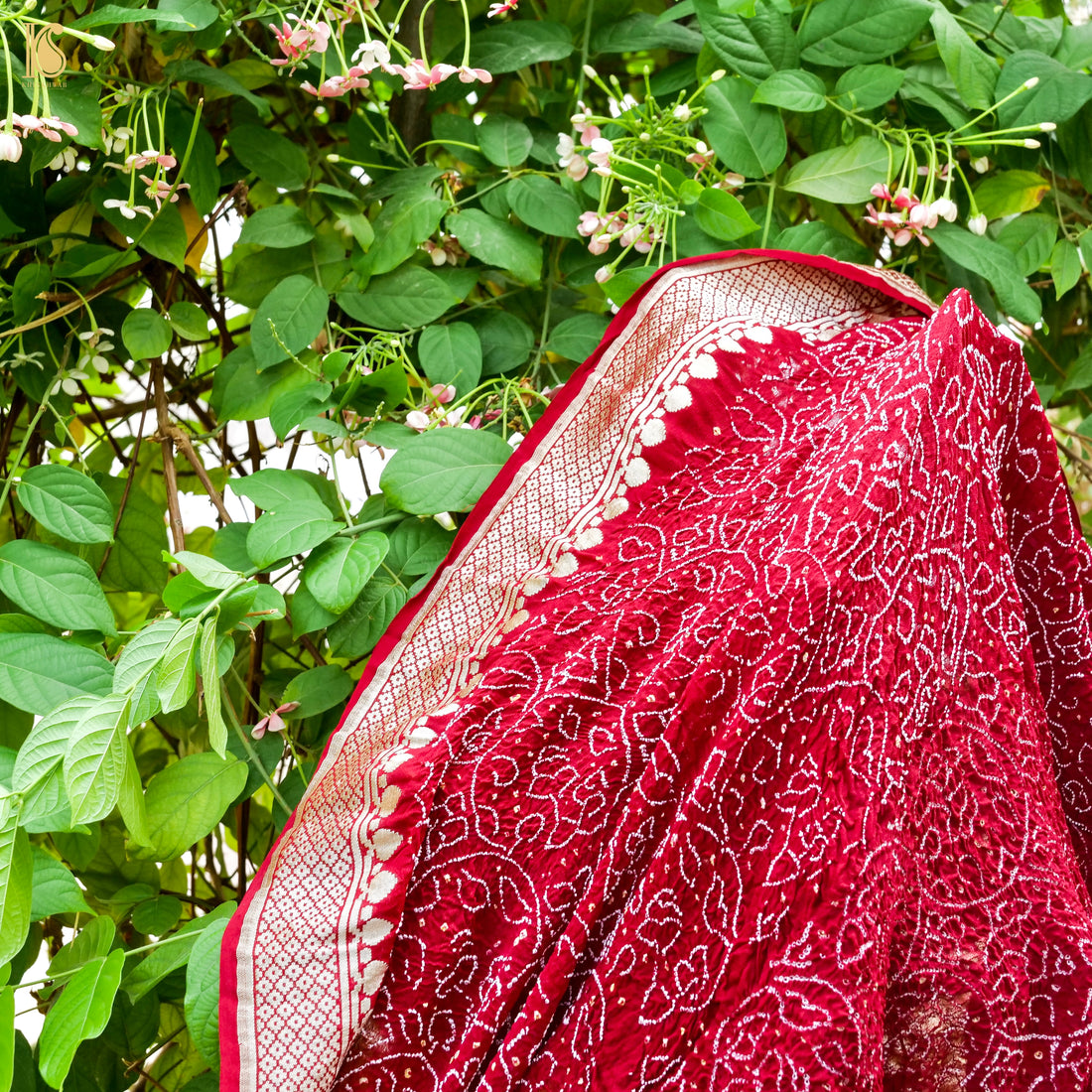 Red Pure Georgette Handloom Banarasi Bandhani Saree