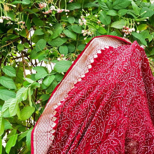 Handloom Banarasi Georgette Bandhani Saree