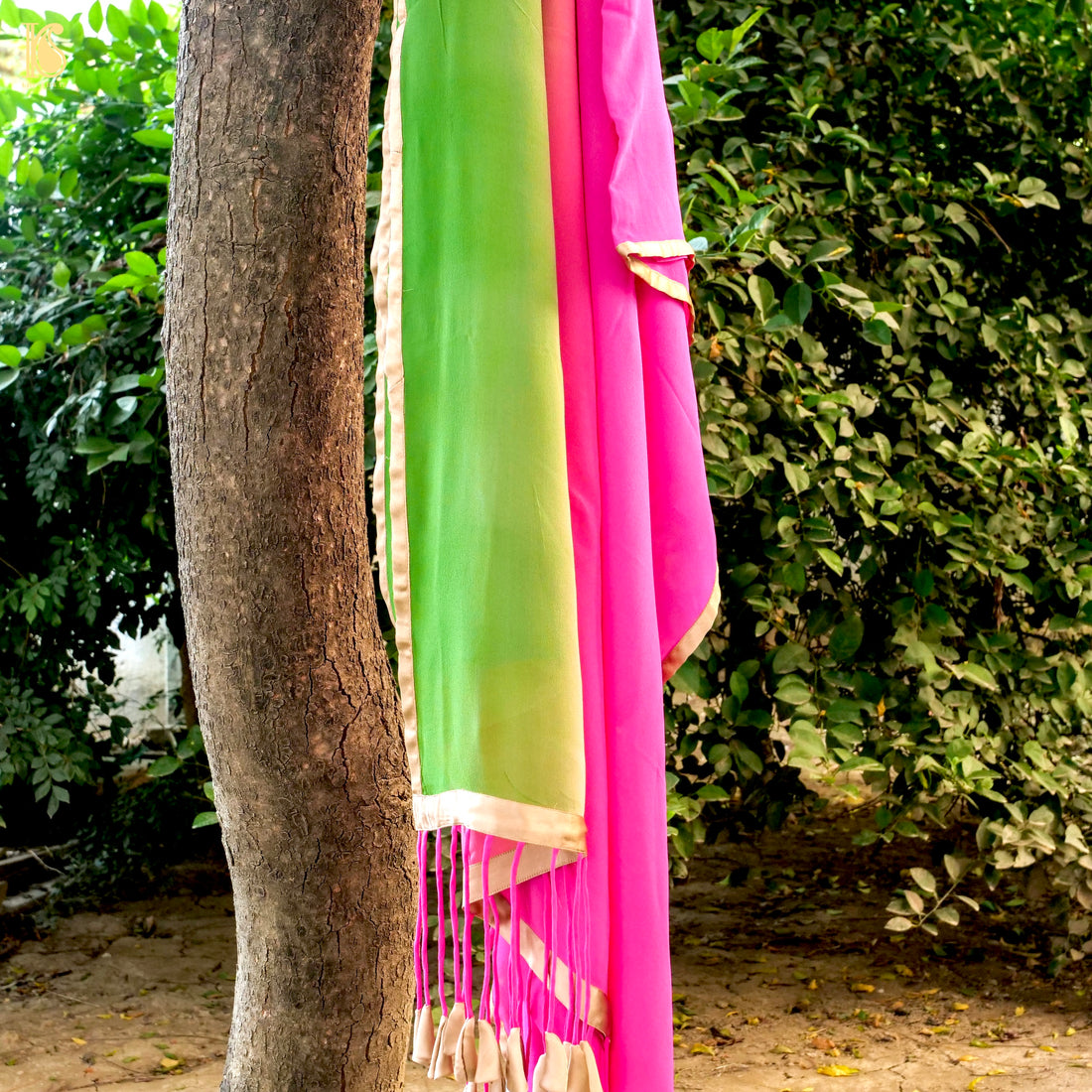 Pink & Green Georgette Saree with Tassels