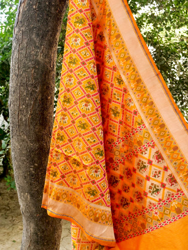 Handloom Banarasi Katan Silk Patola Dupatta