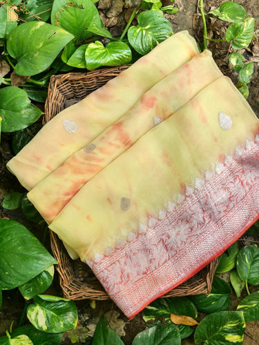 Pure Georgette Handloom Banarasi Shibori Saree