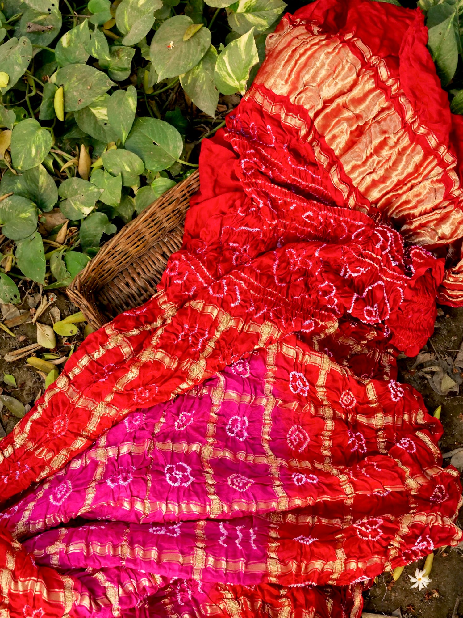 Handwoven Gajji Silk Gharchola Bandhani Saree