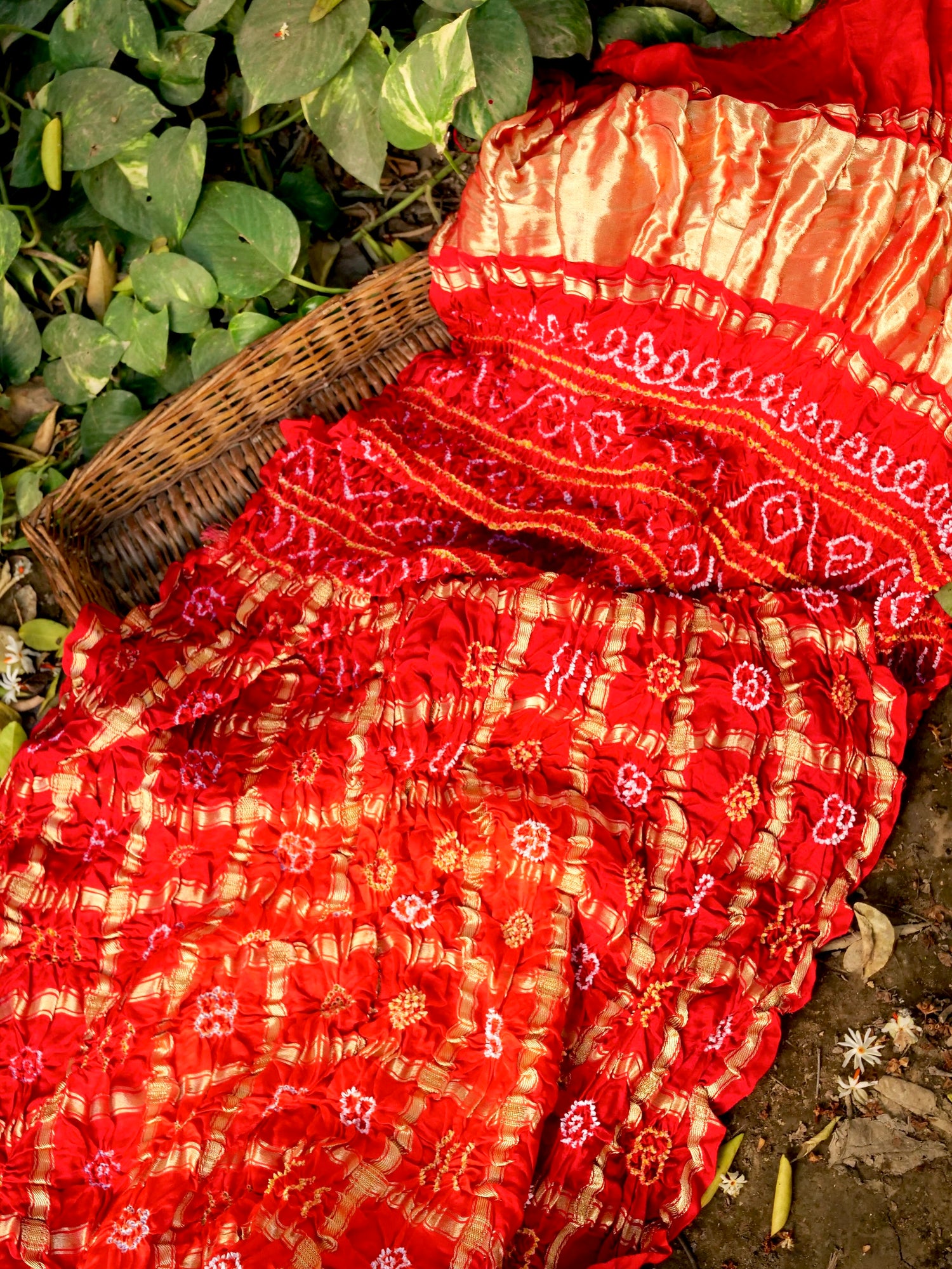 Handwoven Gajji Silk Gharchola Bandhani Saree