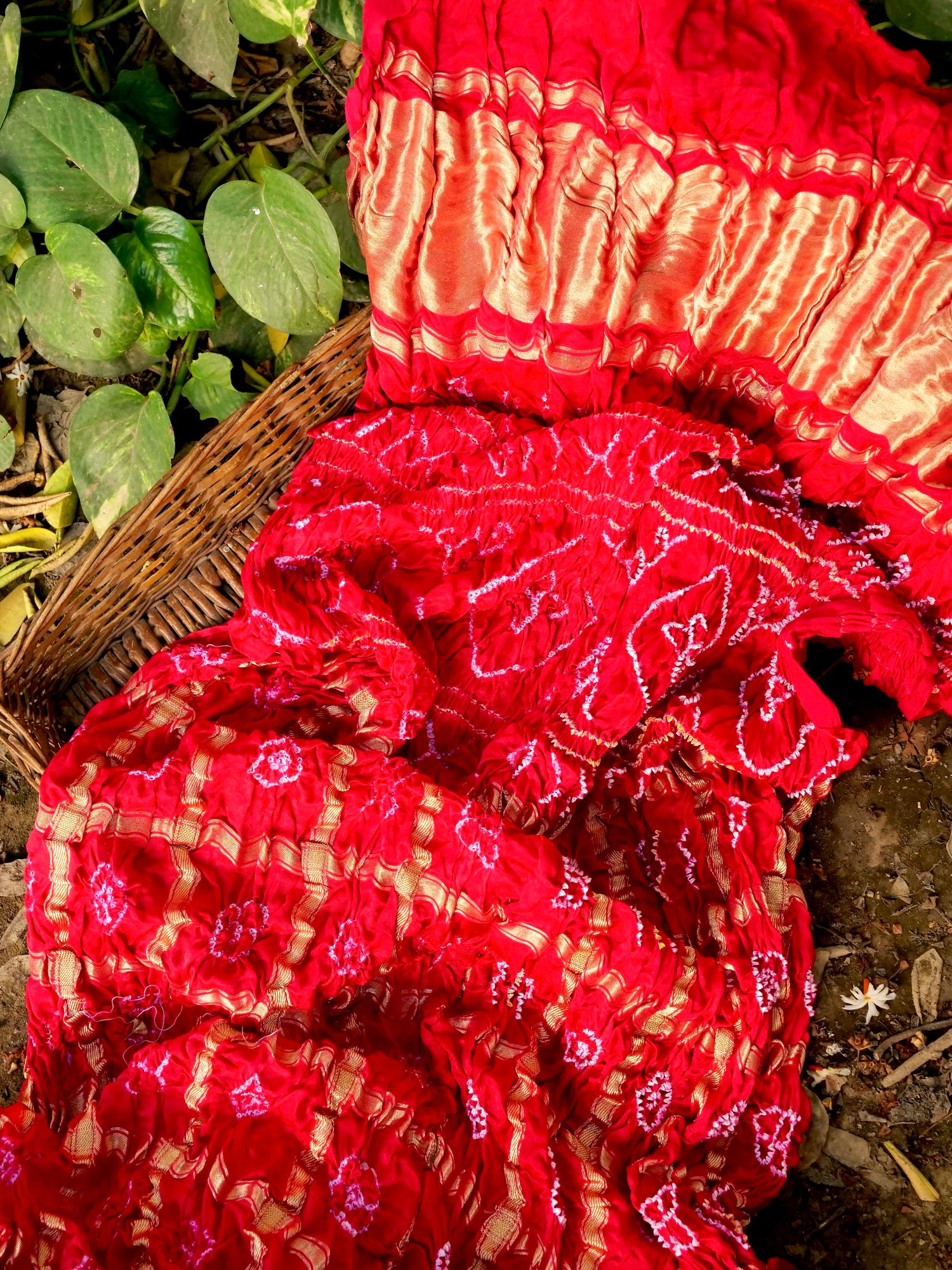 Handwoven Gajji Silk Gharchola Bandhani Saree