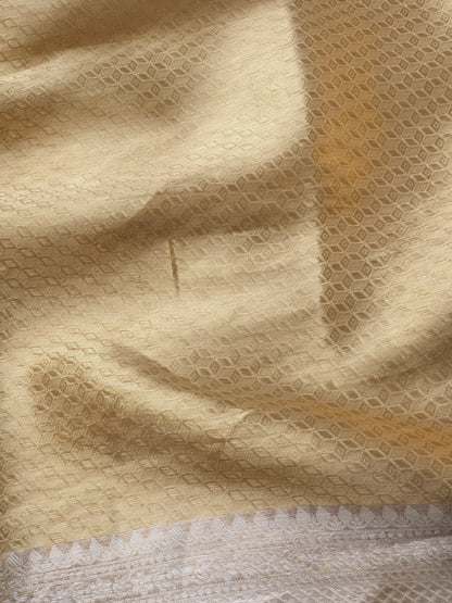 Handloom Banarasi Pure Tissue by Silk Saree